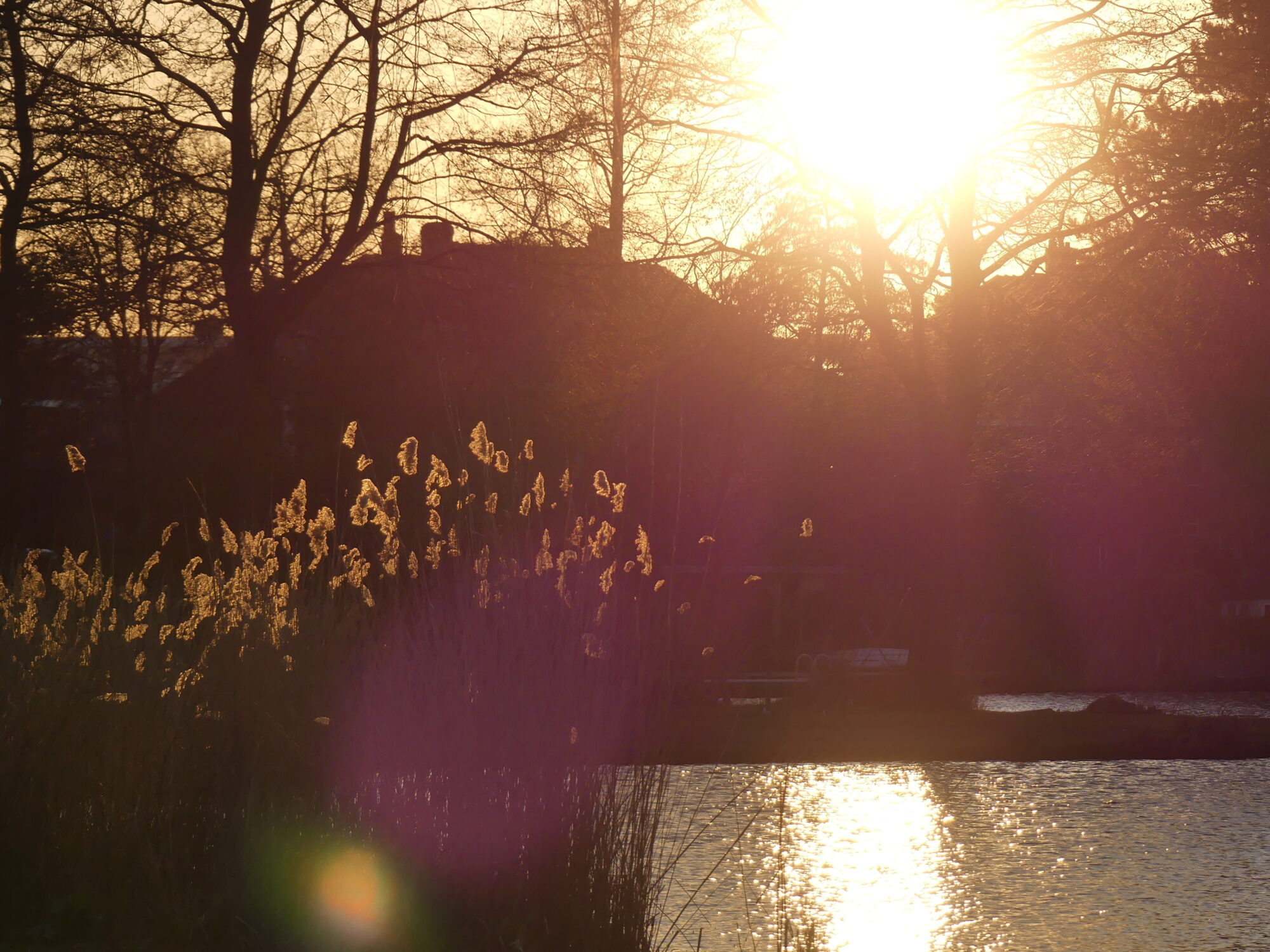 Sunset over the lake, giving a golden hue to the landscape